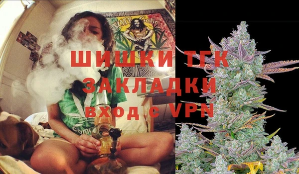 сатива Новодвинск