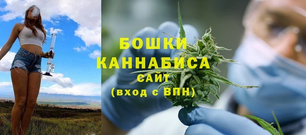 spice Новозыбков
