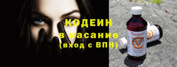 сатива Новодвинск