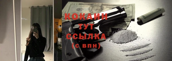 spice Новозыбков