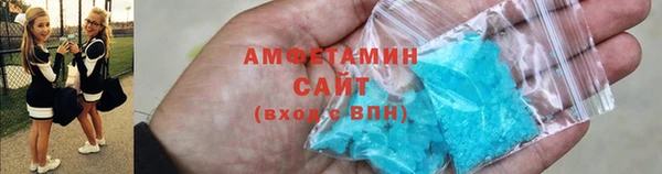 сатива Новодвинск