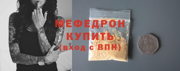 сатива Новодвинск