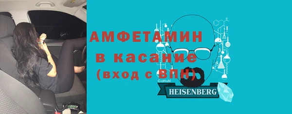 сатива Новодвинск