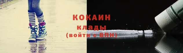 spice Новозыбков