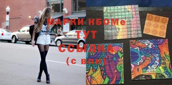 сатива Новодвинск