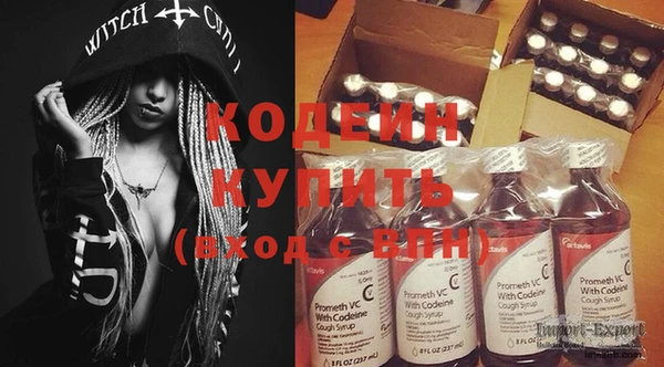 сатива Новодвинск