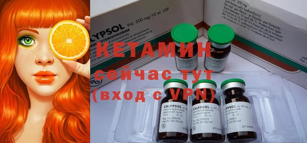 сатива Новодвинск