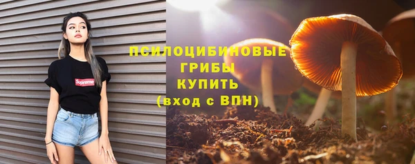 винт Нефтегорск