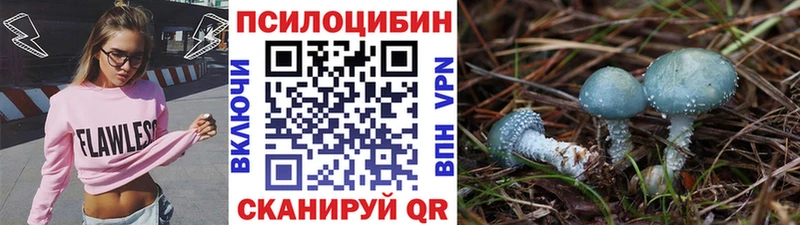 Галлюциногенные грибы прущие грибы  хочу наркоту  Коммунар 