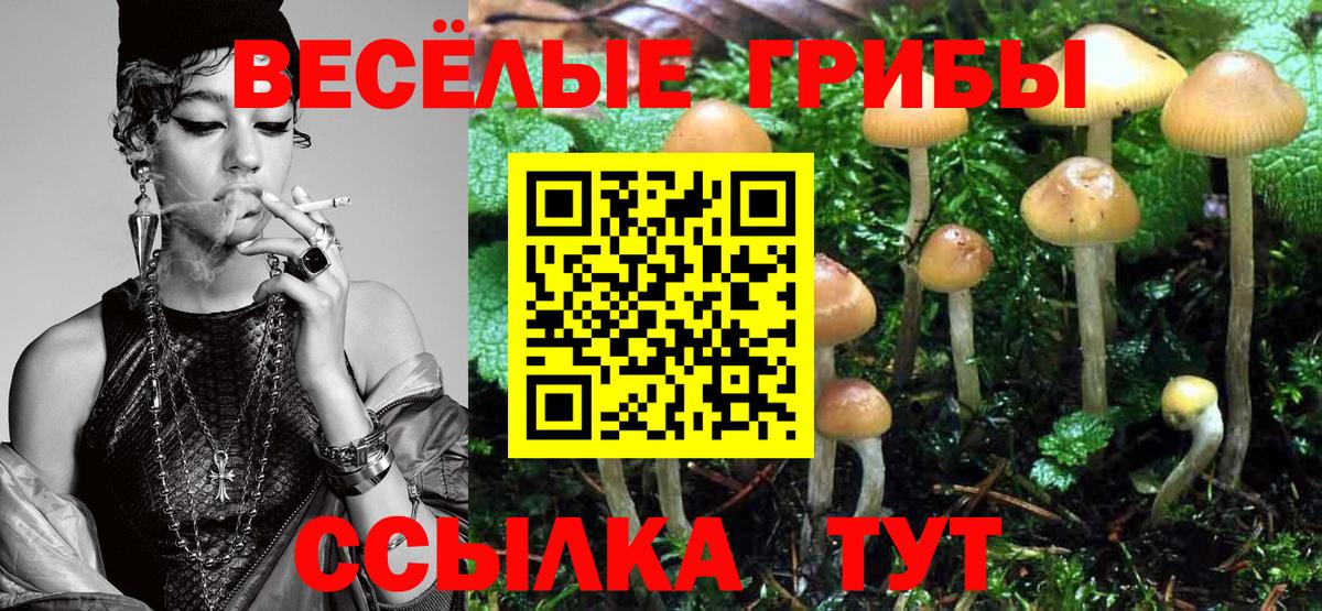 Псилоцибиновые грибы Cubensis  Псилоцибиновые грибы ЛСД  купить   Коммунар  Вход с VPN 