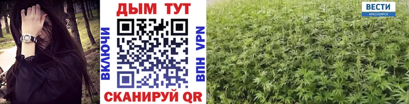 купить  сайты  Коммунар  Канабис индика 